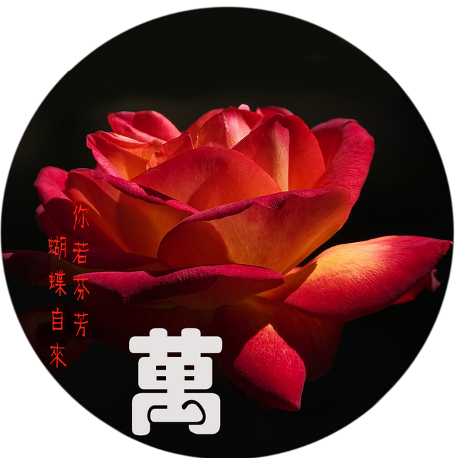 定制一个你的专属头像吧??微信，定制一个你的专属头像吧?（个性头像，微信头像，免费定制）
