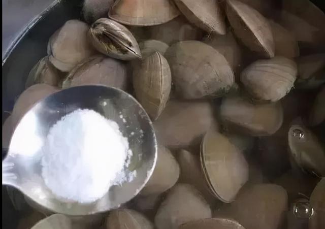 螃蟹怎么清洗干净，活的螃蟹怎么处理干净（秦皇岛老饕手把手教你海鲜清理方法）