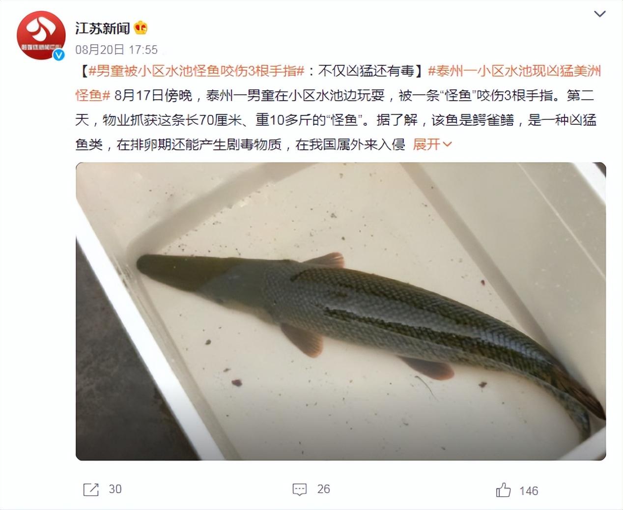 江苏泰州小区惊现神秘怪鱼，盘点全球十大最恐怖鱼类引热议