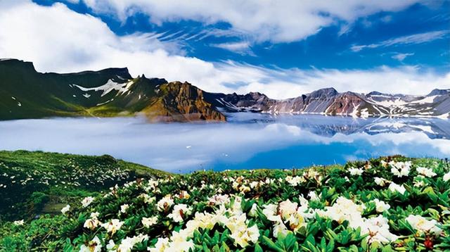 指南针怎么看，指南针怎么看方向图解（3名记者探险失踪8天）