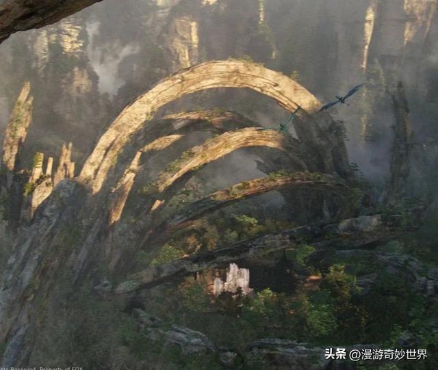 美国国旗上有多少颗星星，美国国旗有多少颗星星（还有这么多你不知道的细节…）