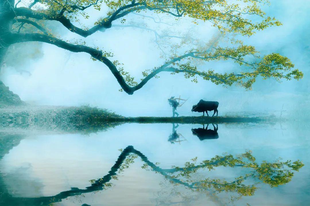 亦的读音是什么，亦字的拼音怎样读（写下最治愈的《临江仙》）