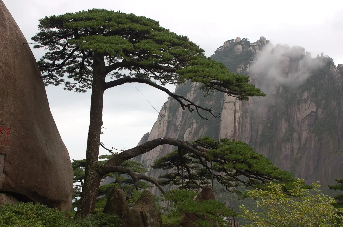 五岳是指哪五座山？看完涨知识了