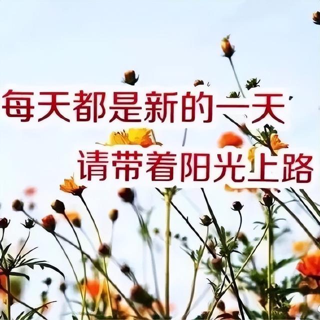 早安心语励志的短句，早安心语励志的短句图片（正能量发奋图强语录句子）