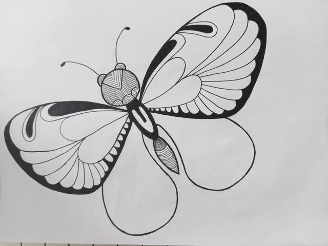 蝴蝶怎么画简单好看，如何画一个简单蝴蝶（《蝴蝶》线描画绘画过程）