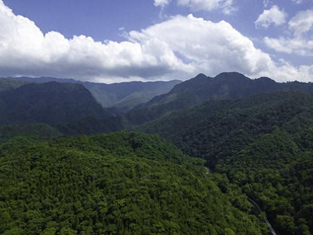 探寻江西唯一的国家森林公园，坐着火车去漂流，就在宜春靖安县