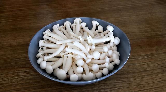 蘑菇有哪些，可以食用的蘑菇有哪些（秋季要多吃蘑菇）