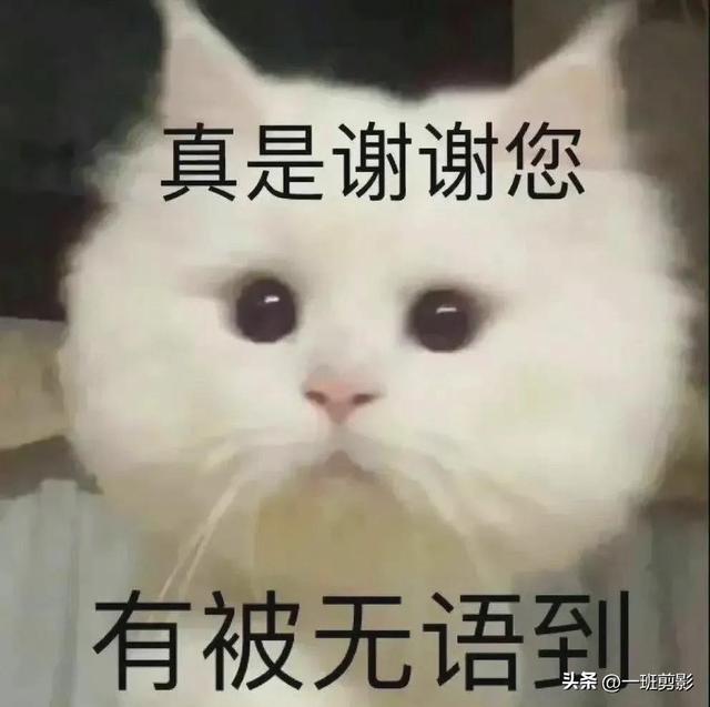 逗人开心又撩人的笑话，逗人开心又撩人的话（让人笑到肚子疼的笑话段子）