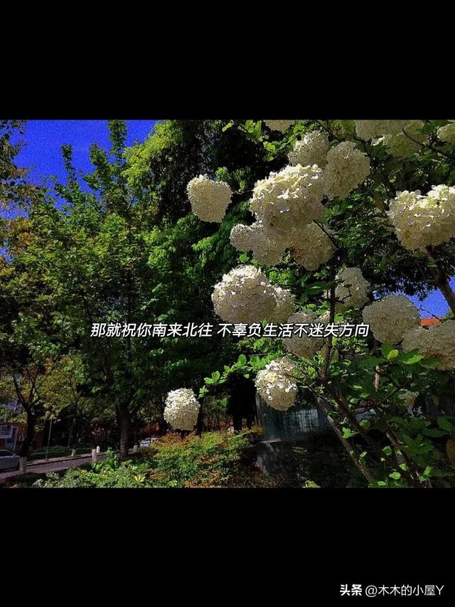 简单唯美的古风文字图片白底黑字  见过也不曾相识，古风文字背景图片（，人生何如不相识，藏在古风文中的绝美文字）