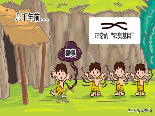 狐臭是怎么引起的，女生狐臭是怎么引起的（科学证实：有狐臭正常）