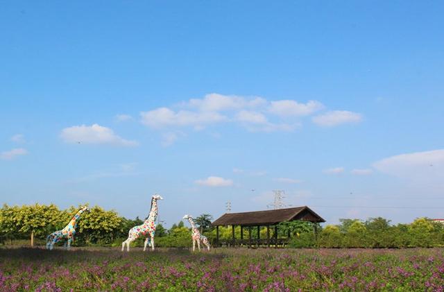 广州景点排行榜前十名，广州旅游景点排名前十（广州十大冷门景点）