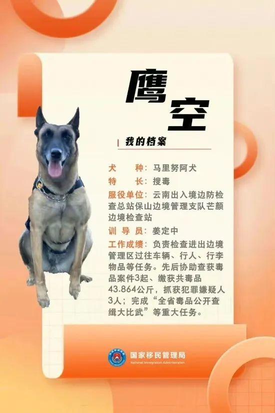 汪汪队立大功百科,汪汪队立大功人物介绍(国家首批功勋犬简历曝光) 汪汪队立大功百科,汪汪队立大功人物介绍(国家首批功勋犬简历曝光)