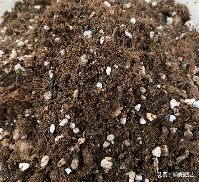 自制假水教程，自制假水教程简单（网上买的泥炭土）