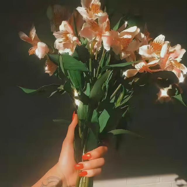 文字/风景/唯美背景图.“远方传来风笛 我却在意有你的消息”，风来自远方去去也无妨背景图（无状态也可以发的文案）