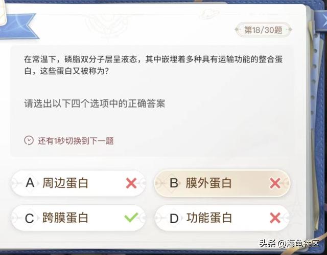 最大的海湾在哪里，中国最大的海湾在哪里（巽风答题正确答案整理）