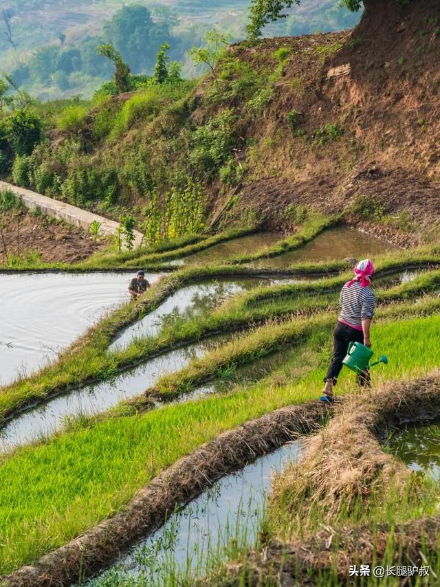 抚仙湖要门票吗，抚仙湖攻略一日游（挖到李健超爱的神仙小城）
