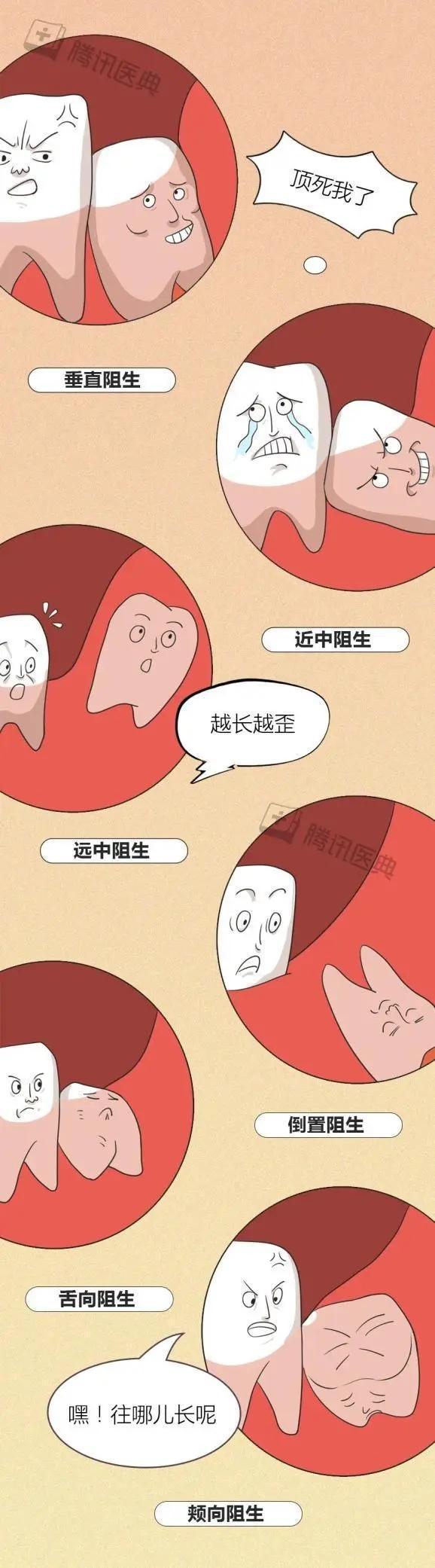 智齿长在哪个位置，智齿长在哪里（会对身体造成什么影响）