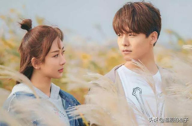 杨紫演的电视剧，杨紫在哪些电视剧中饰演小仙女（杨紫主演的8部电视剧）