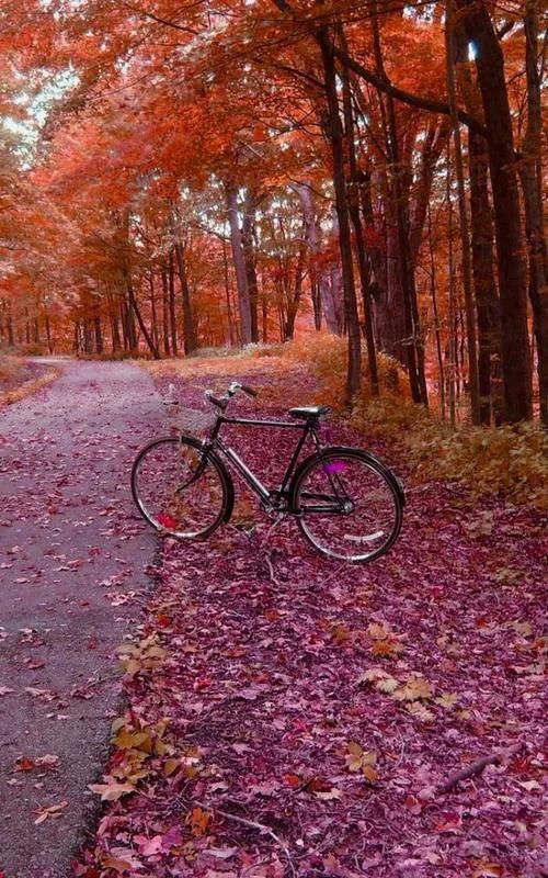 老年人微信头像图片，俞川/网红中老年人头像（最美夕阳红-适合中老年的头像）