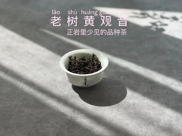 武夷岩茶之马头岩九龙窠肉桂，武夷岩茶入门