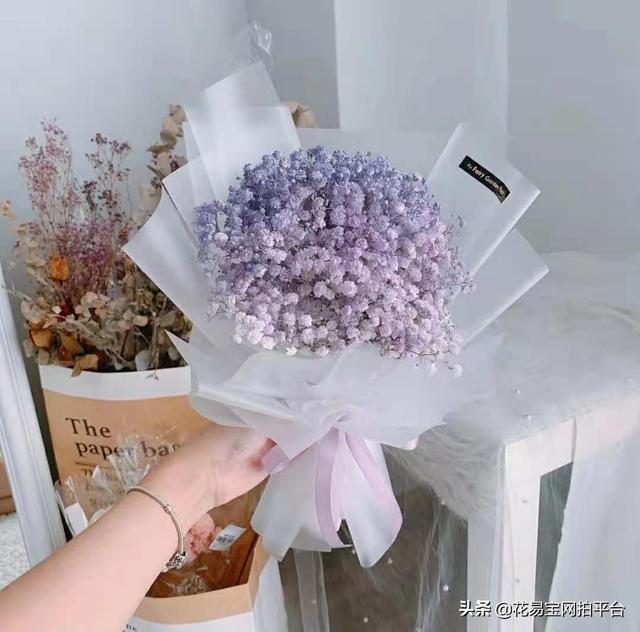 Gypsophila 满天星网名，Gypsophila 满天星（千万星、百万星、伊洛斯有何区别）