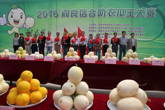 中国海洋大学怎么样，中国海洋大学（哪一所才是实力最弱的）