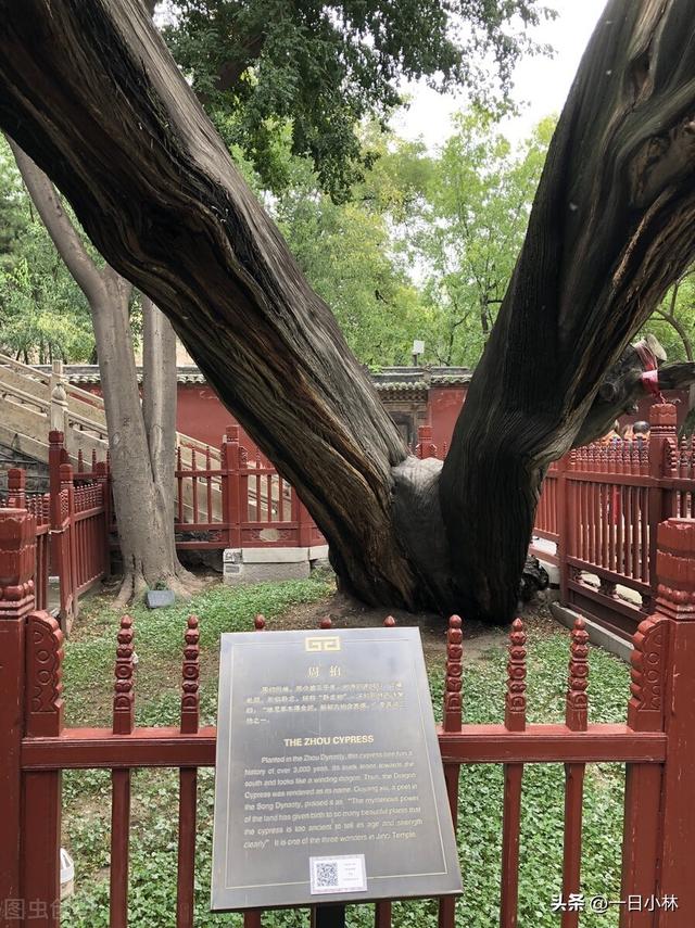 云冈石窟门票多少钱，云冈石窟门票优惠政策（去年国庆假期的“薅羊毛”之旅）