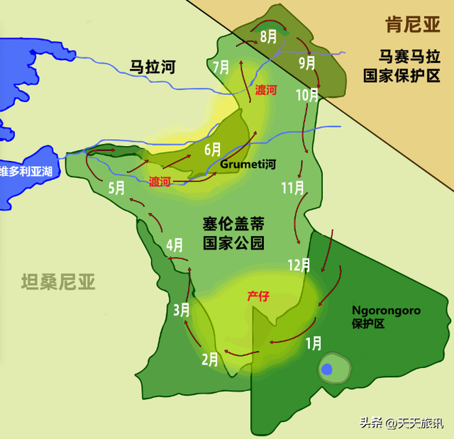 东非动物大迁徙，东非动物大迁徙的路线图（“生命的长征”东非野生动物大迁徙）