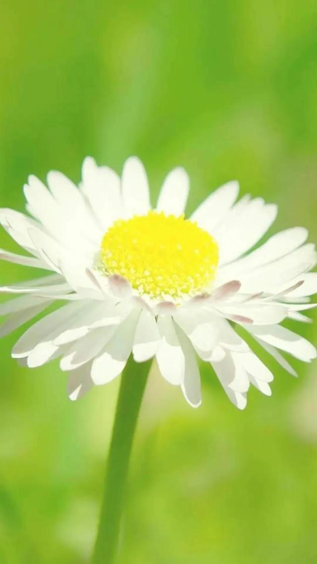 孤独伤感系的文字图片 要明白 孤独才是生活的常态，孤独的图片女生 伤感（品味孤独，孤独也是一种美）