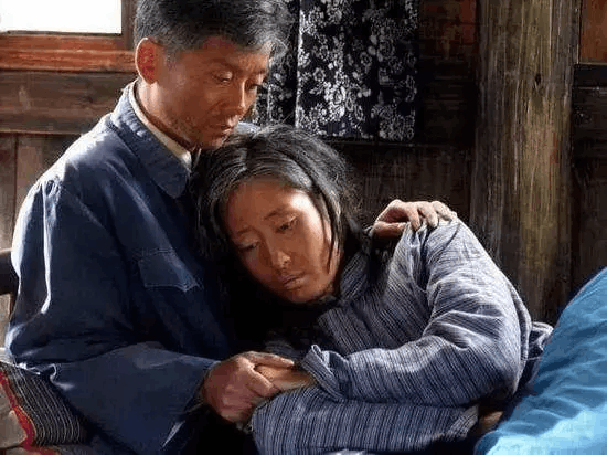 假如生活欺骗了你演员表，火流星电视剧主演是谁叫什么名（盘点历届白玉兰奖——最佳电视剧）