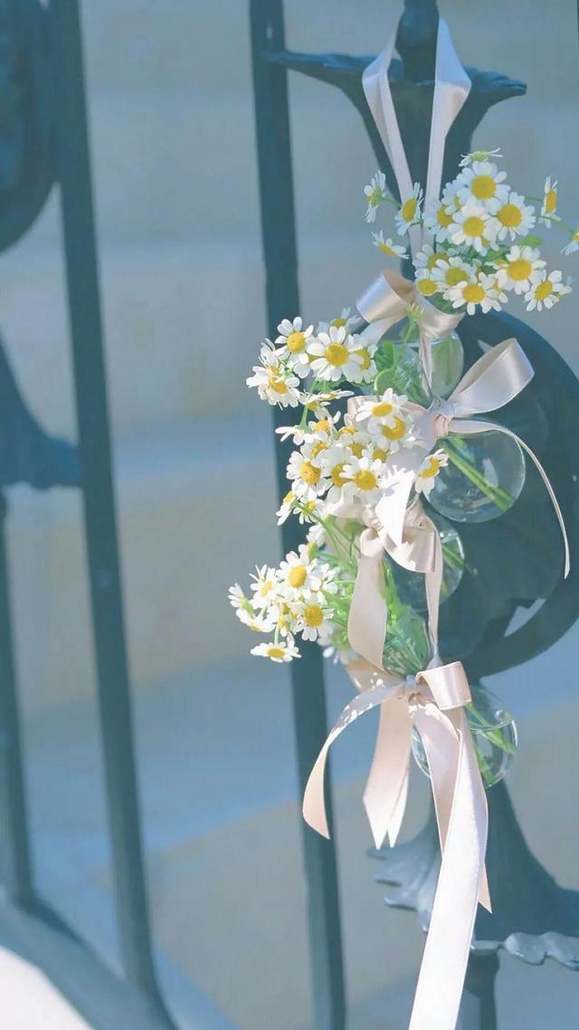 兮颜女生头像微信，兮颜女生头像（不甘平凡却平凡至极）