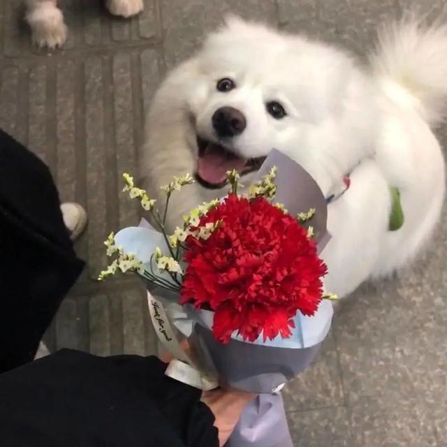 逗人开心的句子,逗人开心又撩人的话句子(让人开心的搞笑文案)