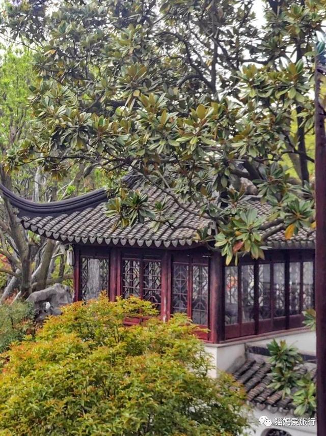 苏州山塘街攻略，苏州山塘街美食最强攻略（周末轻松苏州游）