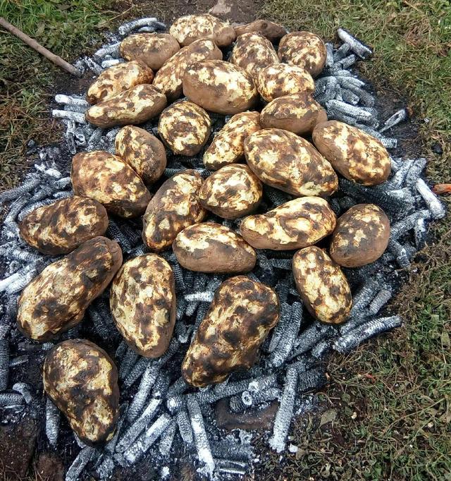 贵州有什么好吃的特产，贵州贵阳有什么特产（被公认贵州最好吃的食物）