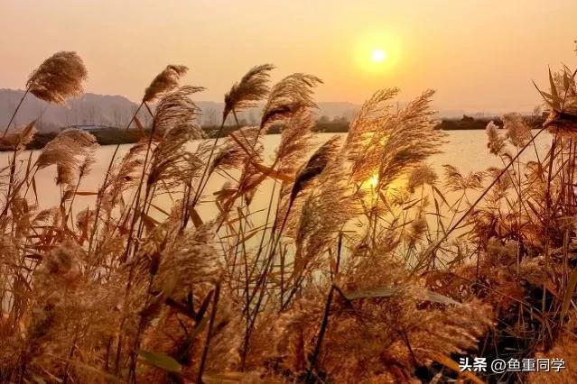 农历七月十四是什么节日，农历7月14什么节日（你知道是什么日子吗）