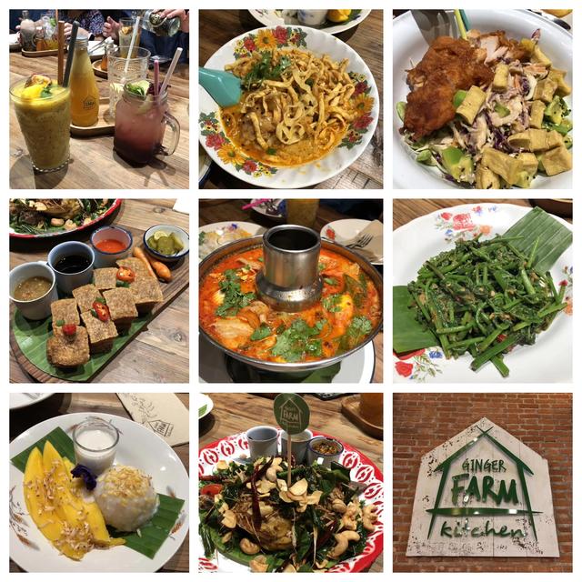 吃货进行曲歌词，吃货养成记：二零一九