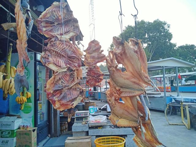 澳门自由行最佳路线，澳门自由行最佳路线攻略（珠海三条观光线路、淇澳岛、澳门、园明新园）