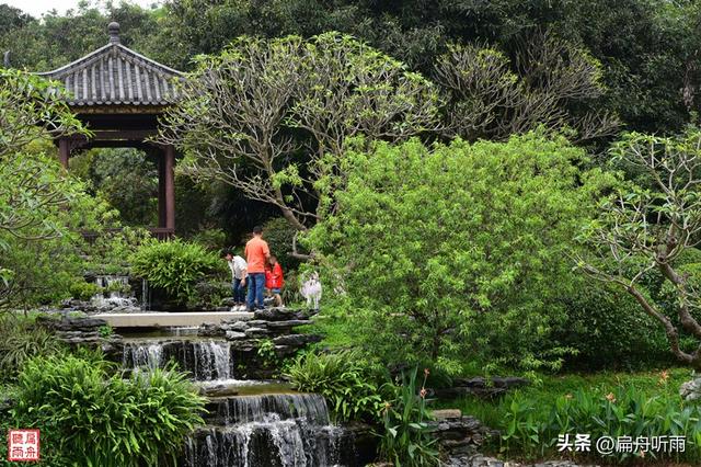 番禺大夫山森林公园，探寻天然氧吧广州大夫山森林公园（大夫山森林公园真的太大了）