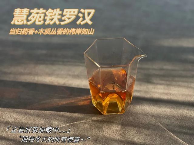 铁罗汉是什么茶，铁罗汉茶属于什么茶（不识慧苑老丛铁罗汉）