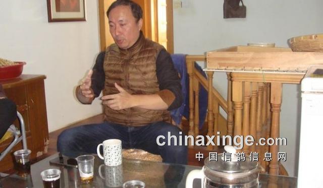 什么鸽子引天落，什么叫天落鸽子（引赛绩鸽修得正果——飞出三关鸽王冠军）