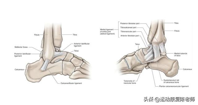 运动后小腿肿胀硬硬的，为什么跳绳小腿就发硬发痛（习惯性崴脚康复攻略）