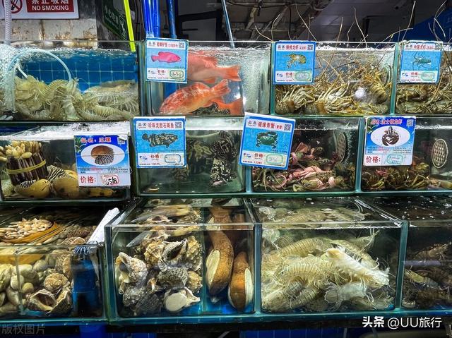 三亚最好玩的地方，三亚旅游景点必打卡（三亚最值得去的10个景点）