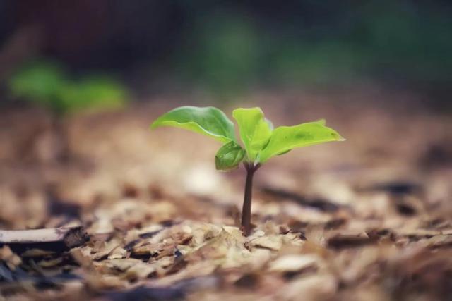 因人而异造句，用因人而异写一句话（最高级的智慧：因人而异）