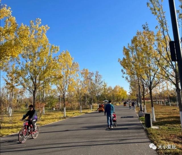 城市森林公园有哪些好处，森林公园和城市公园的区别（避开人群拥有安全距离）