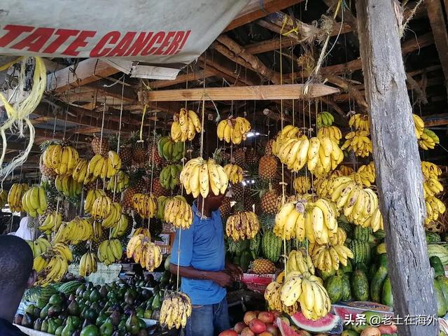 坦桑尼亚首都是哪，坦桑尼亚首都在哪里（坦桑尼亚是一个怎么样的国家）