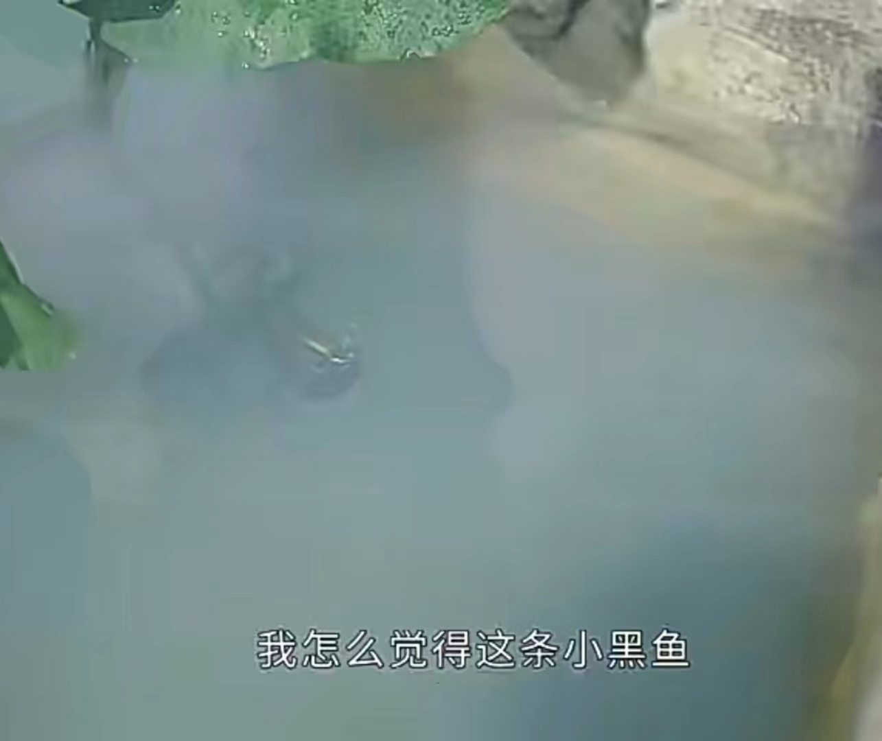 沉香如屑原著小说：其实最后和颜淡在一起的人并不是应渊帝