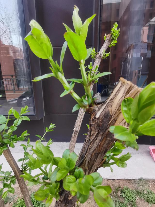 等额本金和等额本息哪个利息少，等额本息和等额本金哪个利息低（等额本金、等额本息）