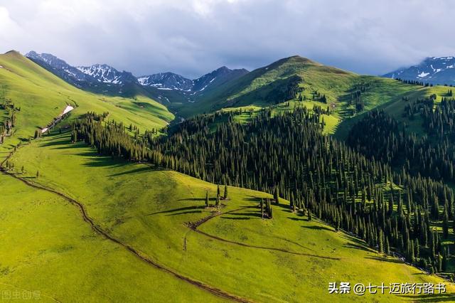 那拉提景区旅游攻略，那拉提旅游攻略（一张图看懂那拉提草原怎么玩）