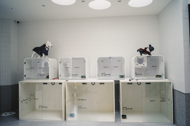 张震岳的《玩乐令》 歌词，张震岳的《玩乐令》（阿那亚，怎么住）