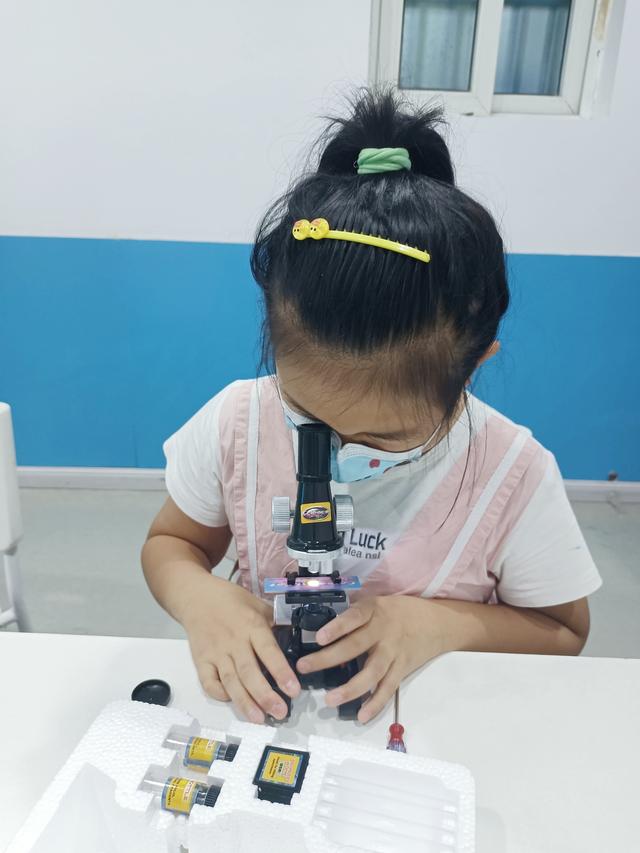 光学显微镜是什么东西，光学显微镜是什么东西图片（通过有趣的实验一起来学习吧）